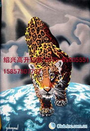 供应印花染色双面绒,珊瑚绒,摇粒绒